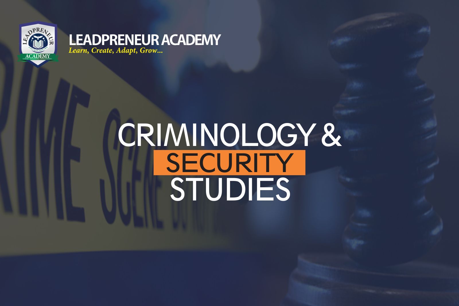 phd criminology and security studies