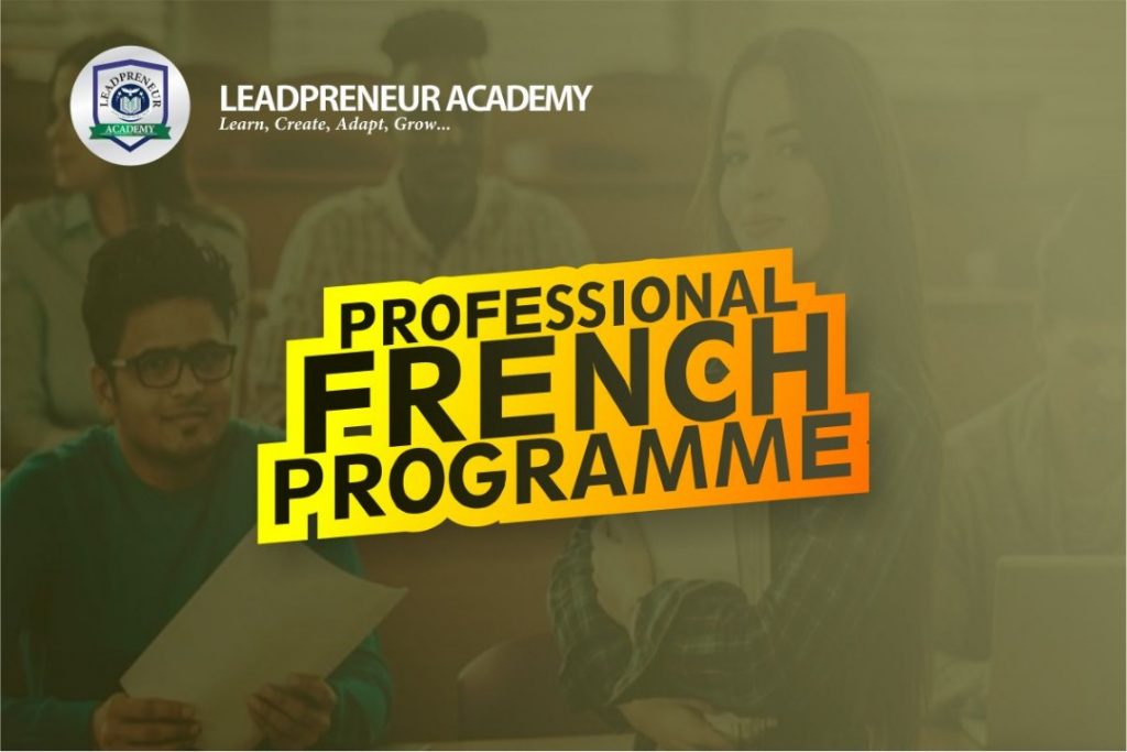 professional french programme
